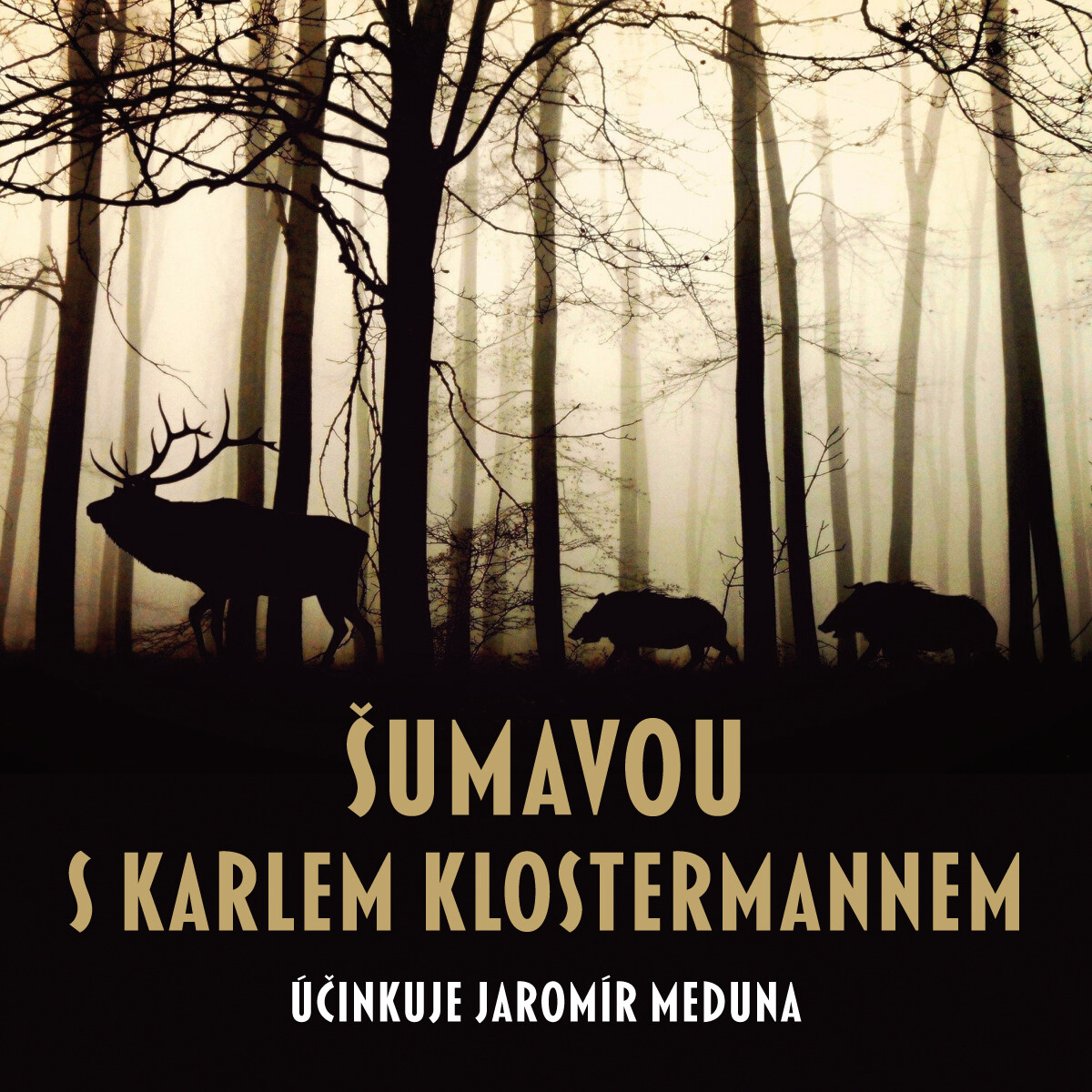 Šumavou s Karlem Klostermannem - Karel Klostermann - audiokniha