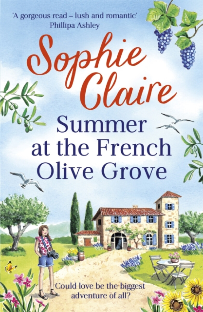 Kniha Summer at the French Olive Grove