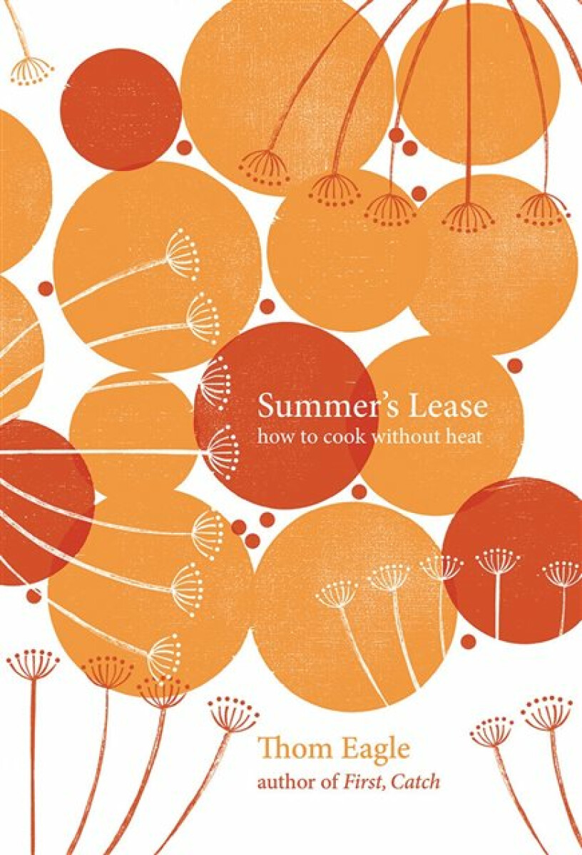 Kniha Summer's Lease