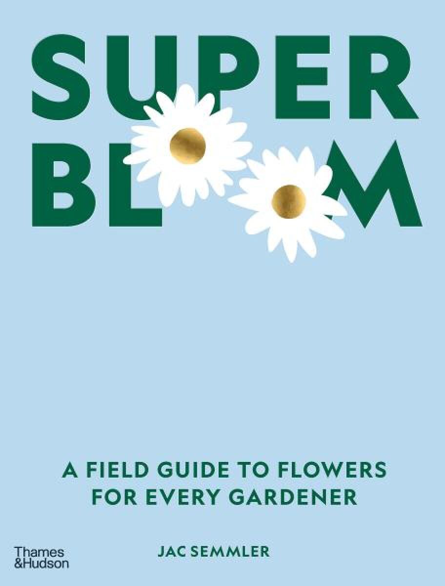 Kniha Super Bloom
