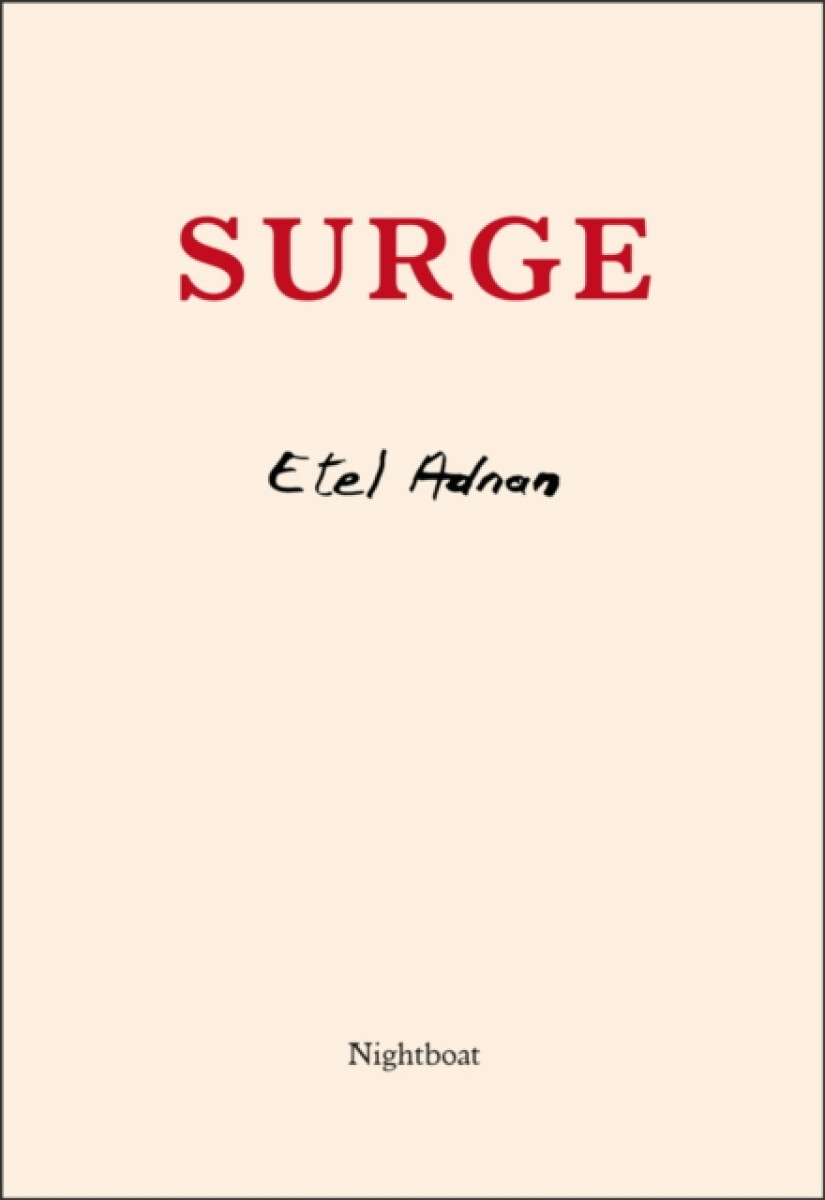 Kniha Surge