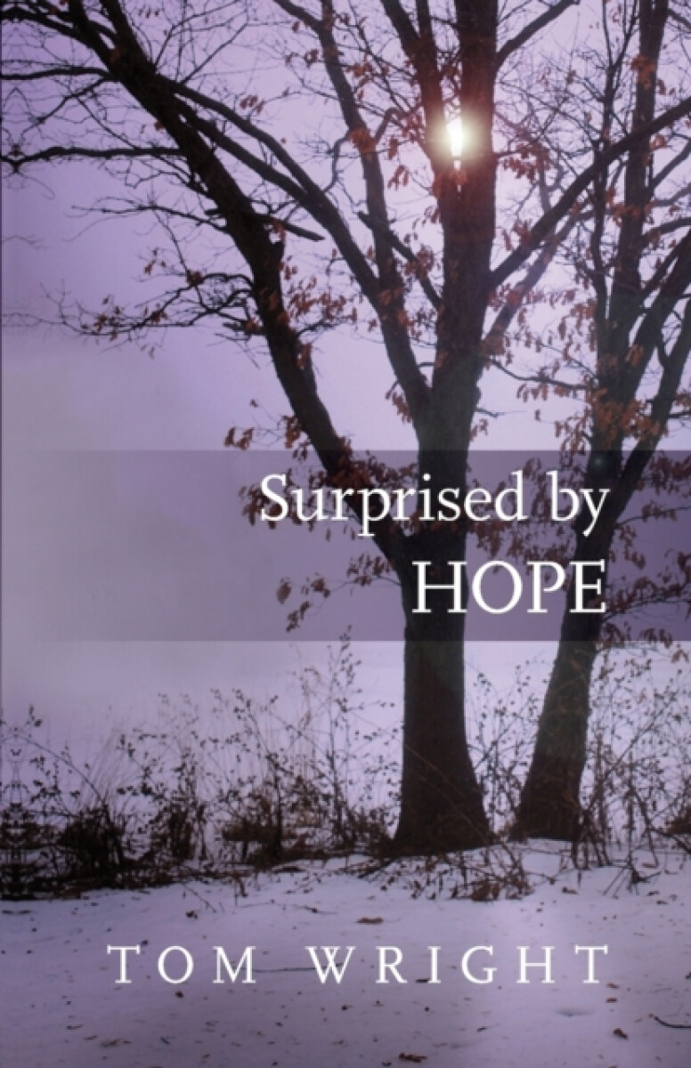 Kniha Surprised by Hope