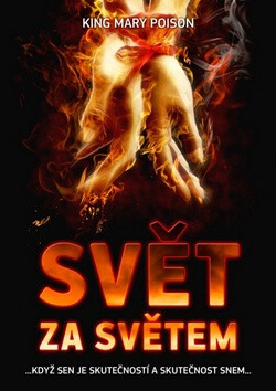 Kniha Svět za světem