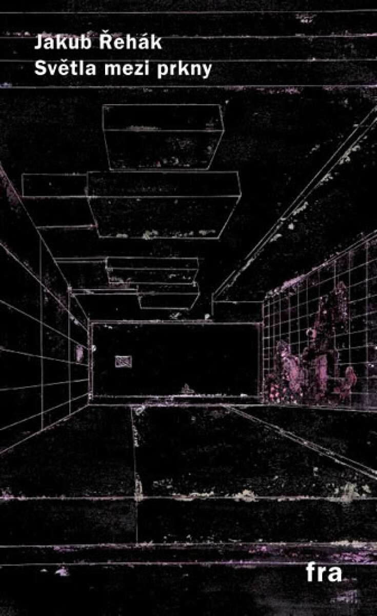Kniha Svetla medzi prkny