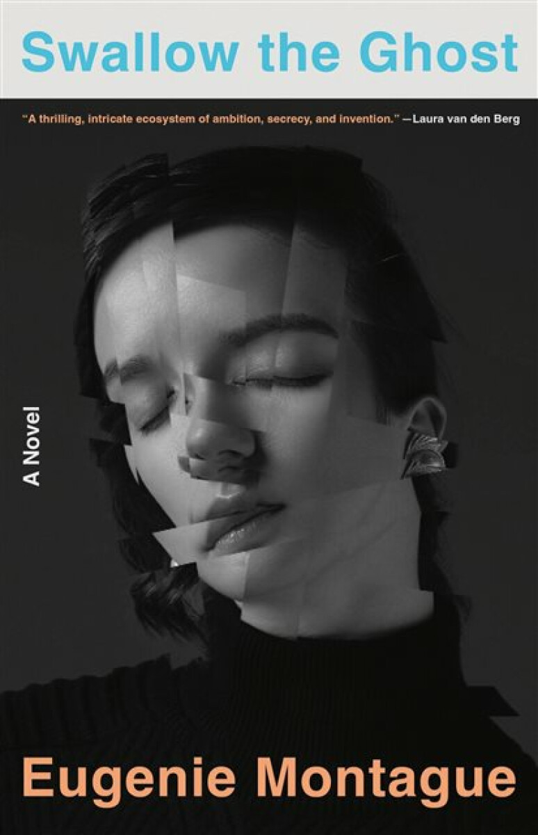 Kniha Swallow the Ghost