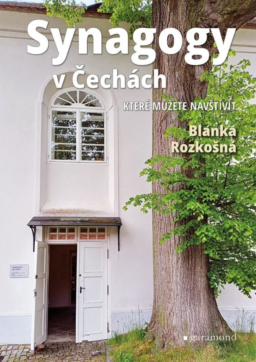 Kniha Synagogy v Čechách