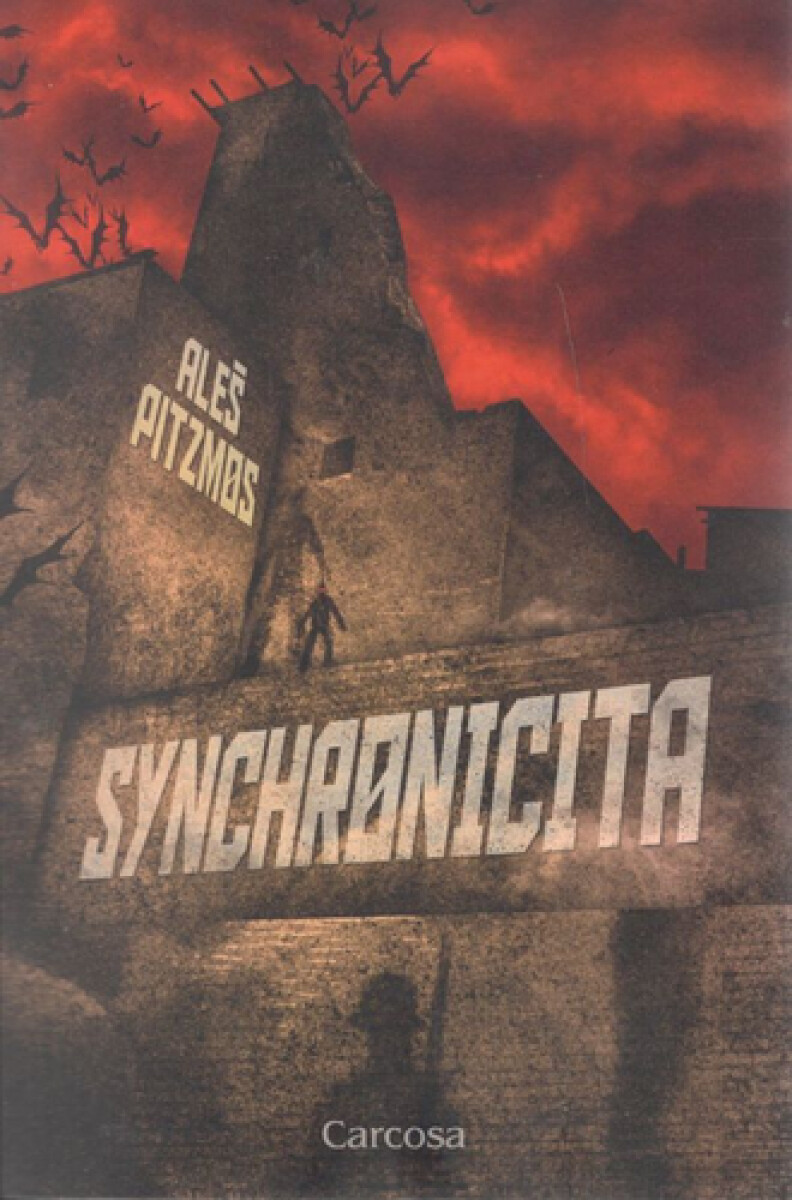 Kniha Synchronicita