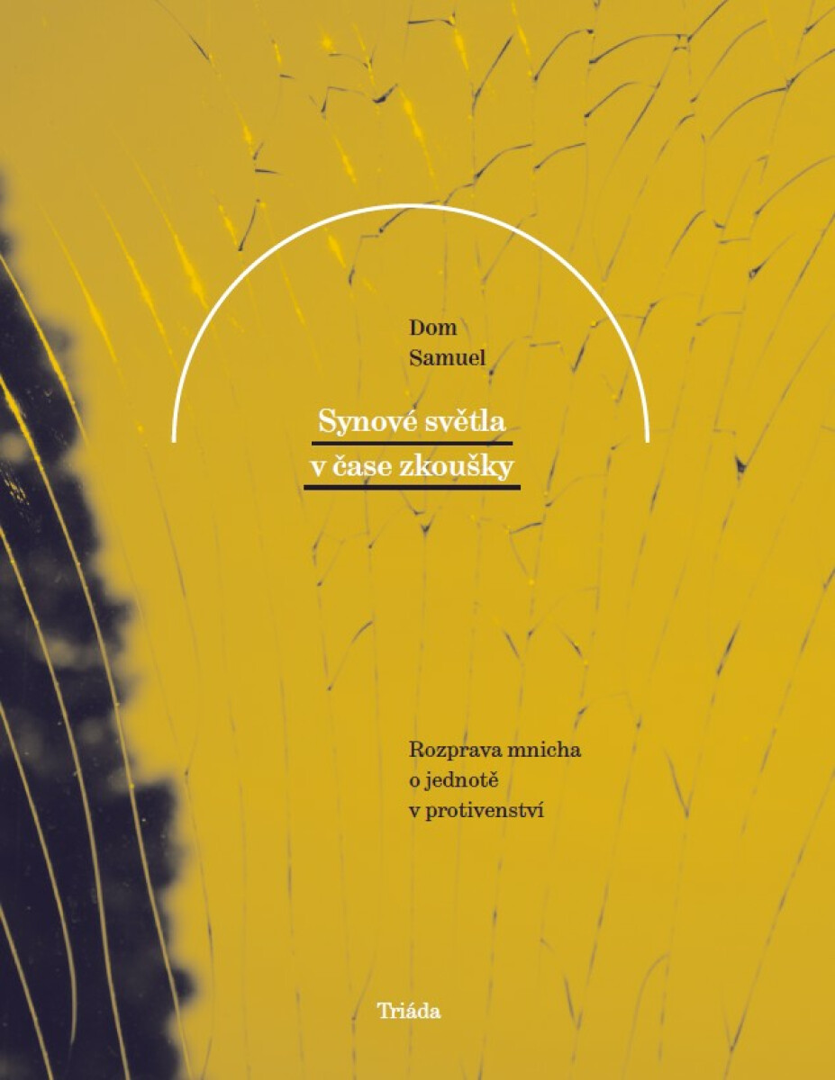 Synové světla v čase zkoušky - Dom Samuel