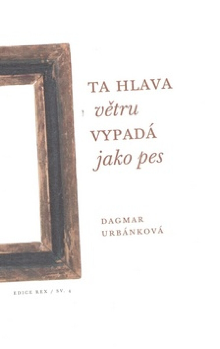 Kniha Ta hlava větru vypadá jako pes