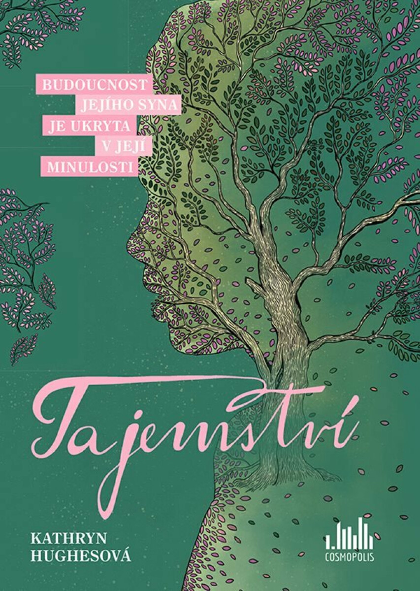 Kniha Tajemství - Budoucnost jejího syna je ukryta v její minulosti