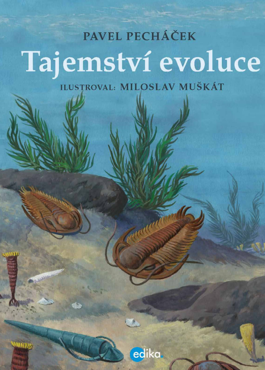 Levně Tajemství evoluce - Pavel Pecháček