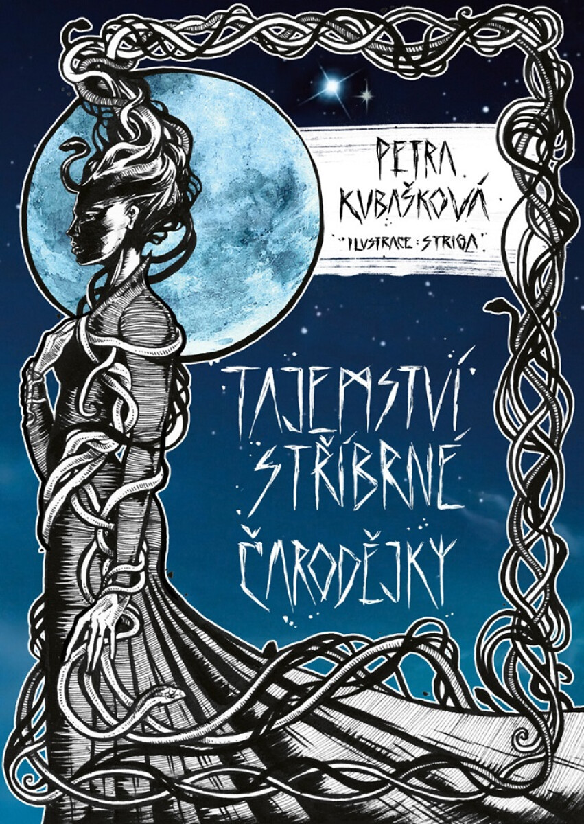 Levně Tajemství stříbrné čarodějky - Petra Kubašková