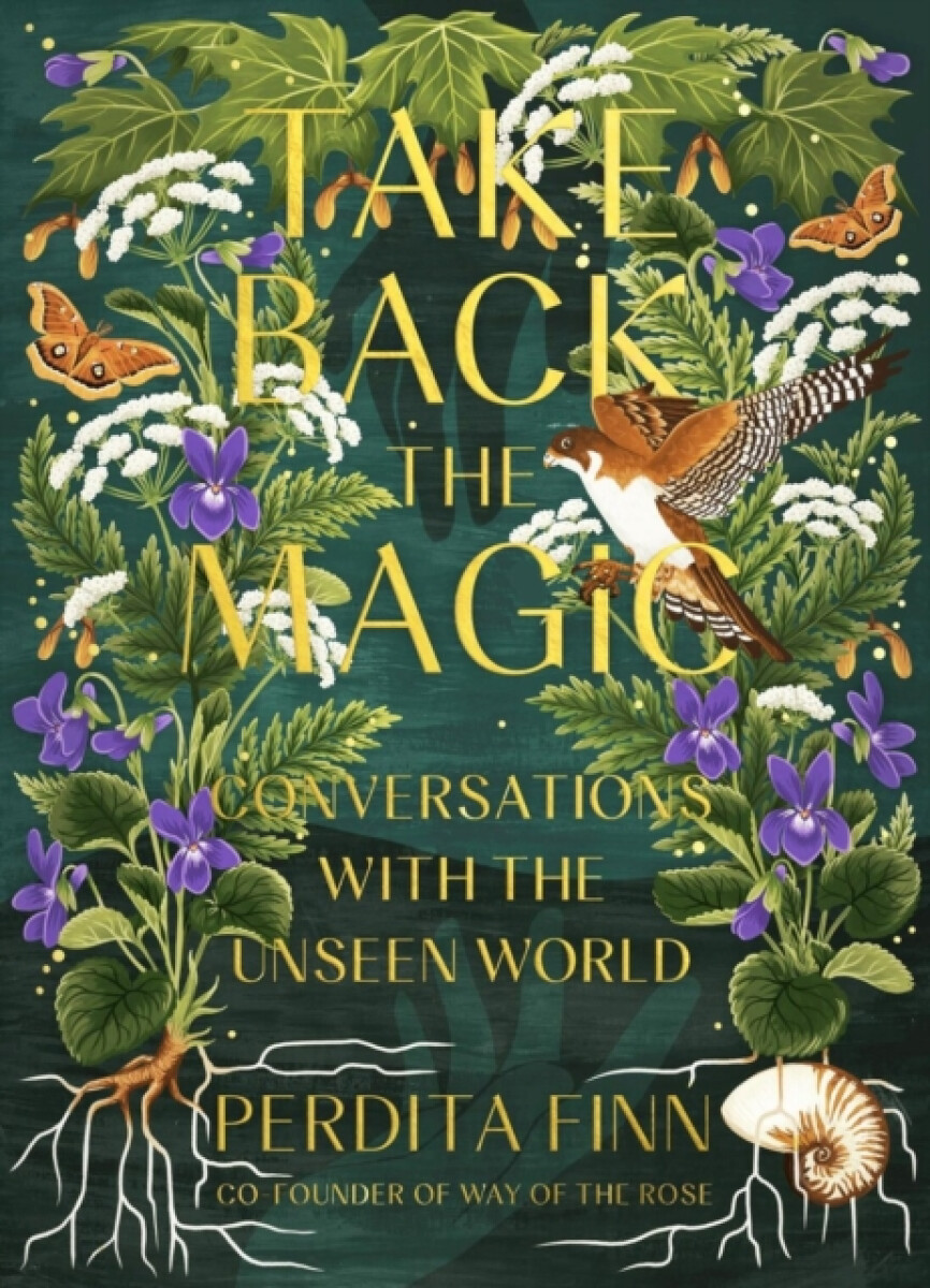 Take Back the Magic - Perdita Finn