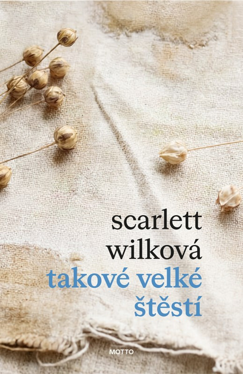Kniha Takové velké štěstí