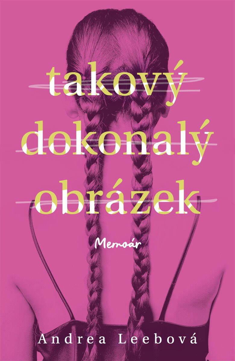 Kniha Takový dokonalý obrázek