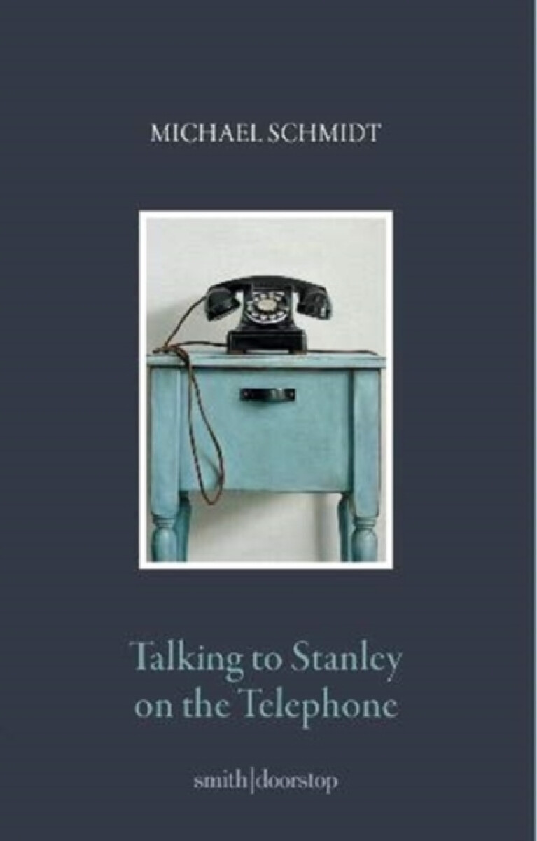 Kniha Talking to Stanley on the Telephone