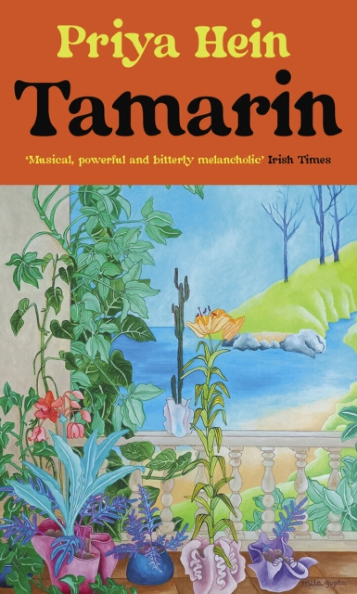 Kniha Tamarin