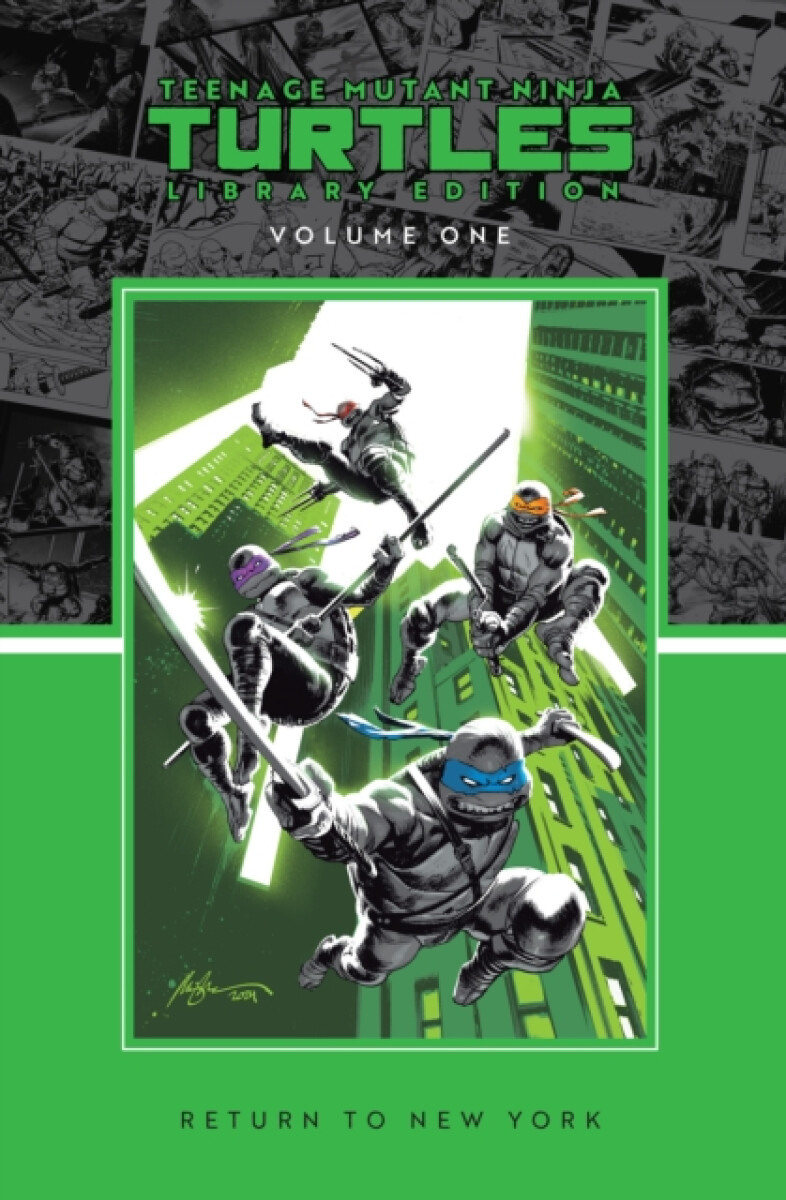 Kniha Teenage Mutant Ninja Turtles, Vol. 1: Return to New York Library Edition