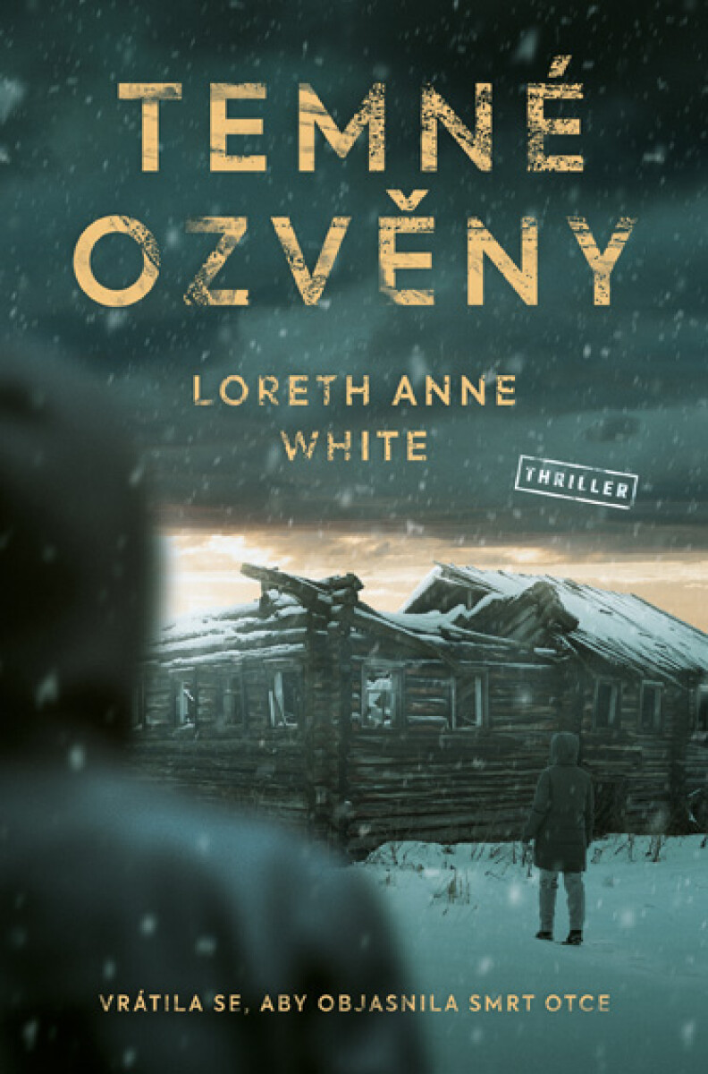 Levně Temné ozvěny - Loreth Anne White