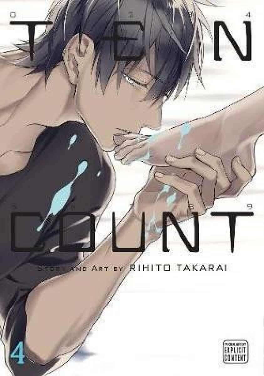 Kniha Ten Count 4