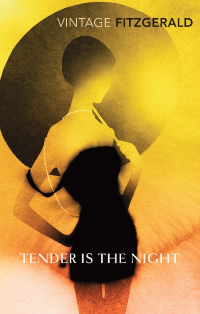 Kniha Tender is the Night