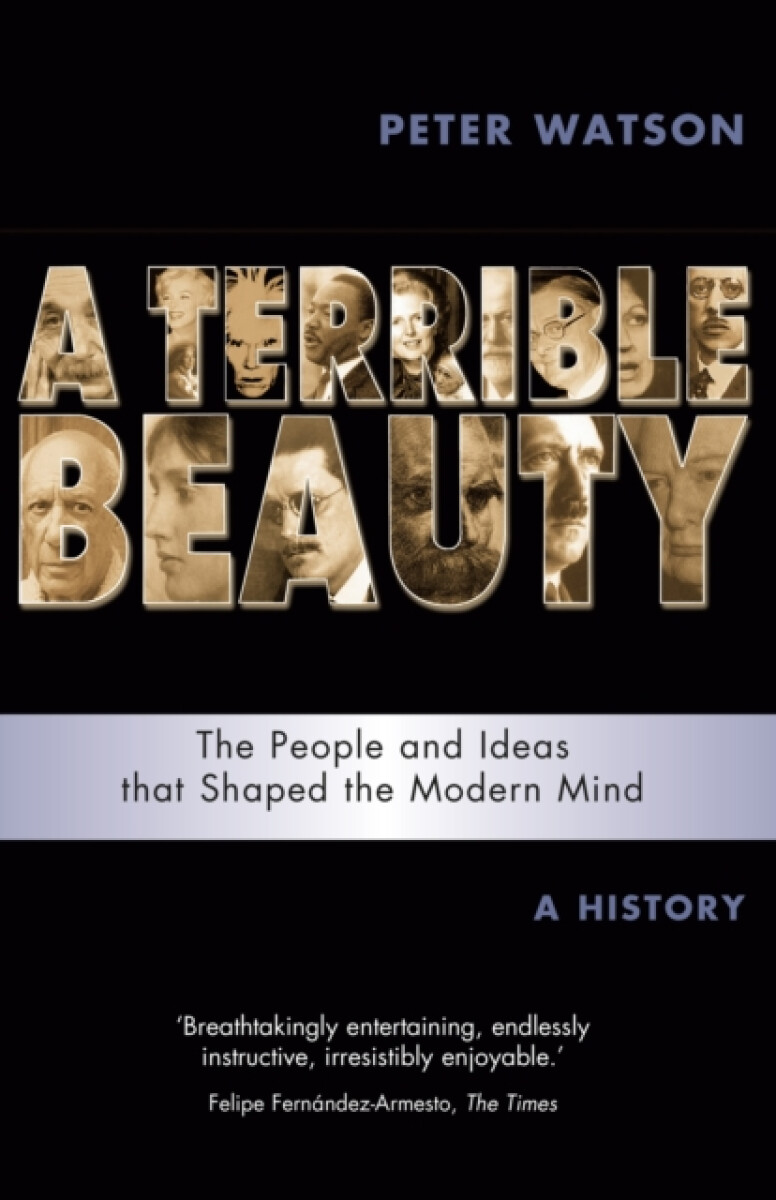 Kniha Terrible Beauty: A Cultural History of the Twentieth Century