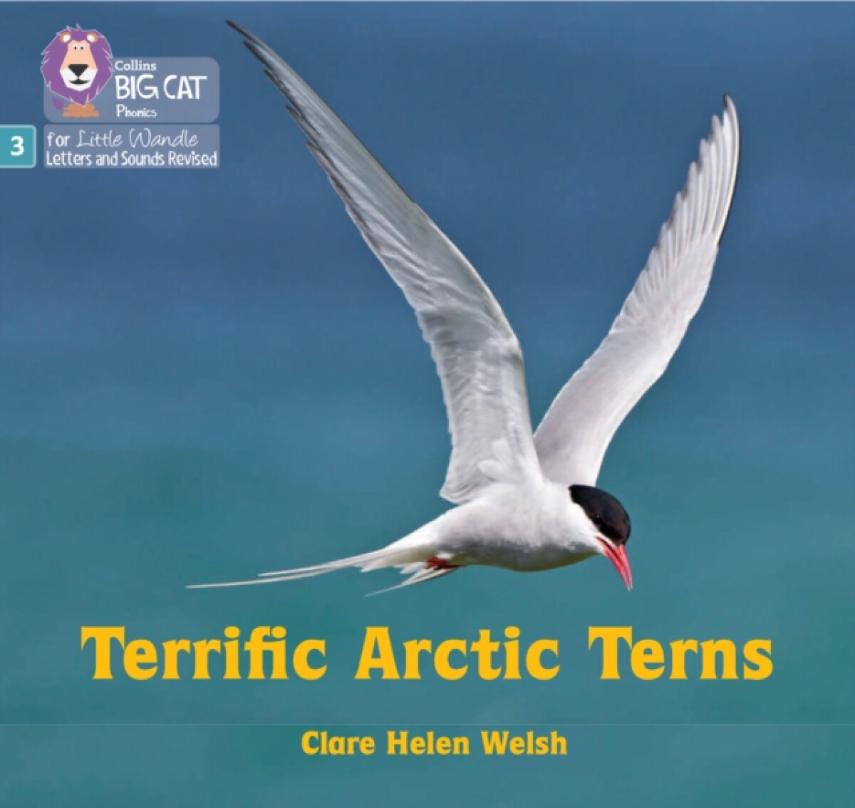 Kniha Terrific Arctic Terns
