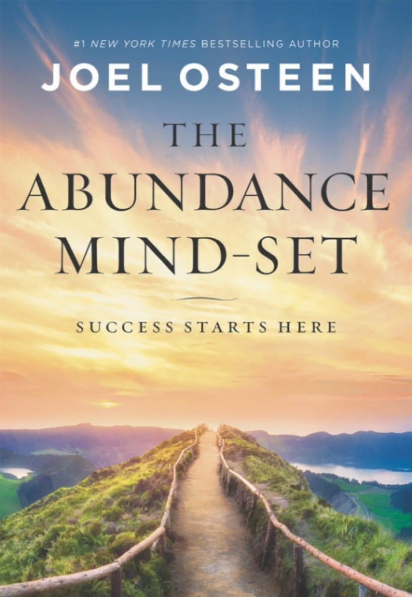 Kniha Abundance Mind-Set