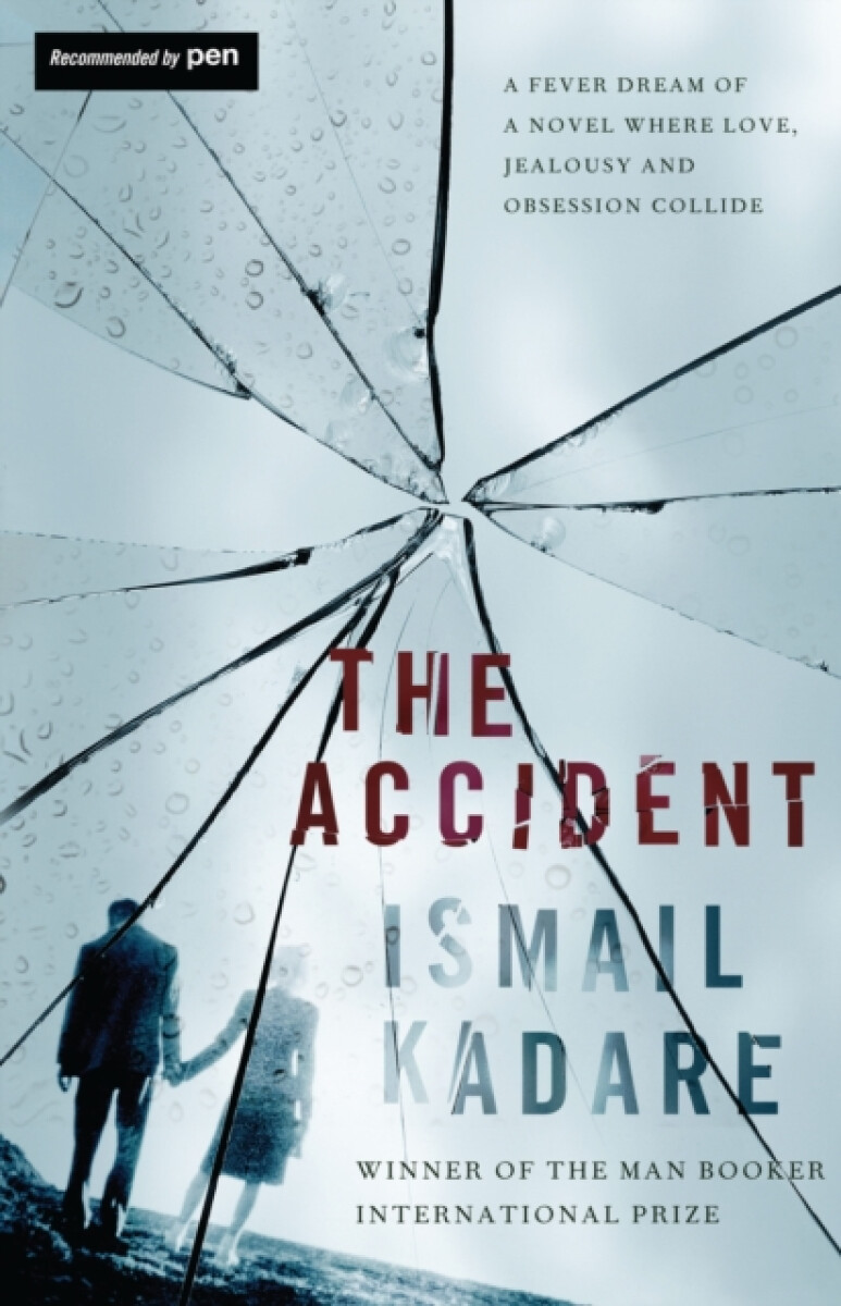 Kniha Accident