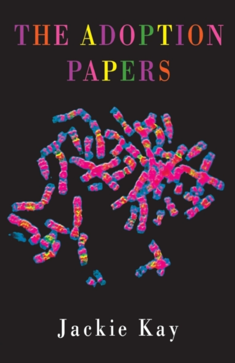 Kniha Adoption Papers