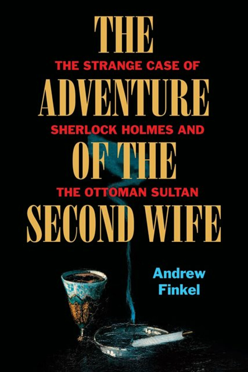 Kniha Adventure of the Second Wife
