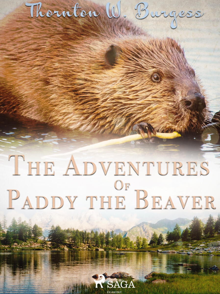 Levně The Adventures of Paddy the Beaver - Thornton W. Burgess