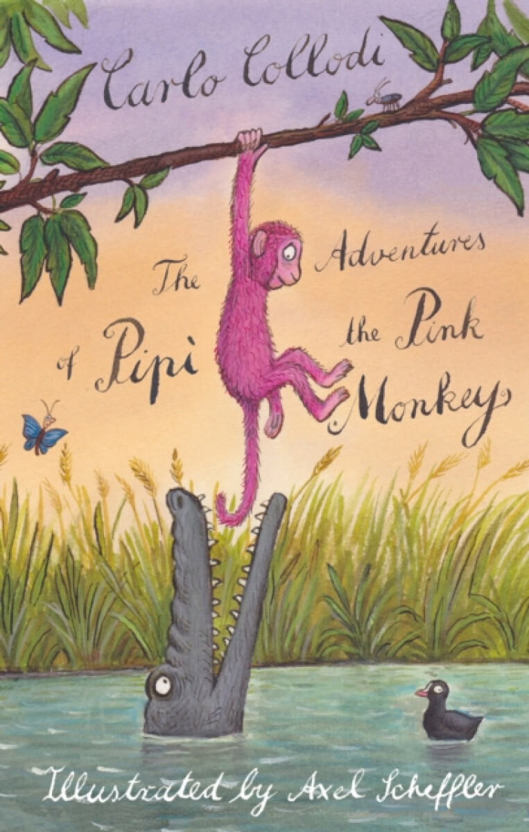 Kniha Adventures of Pipi the Pink Monkey