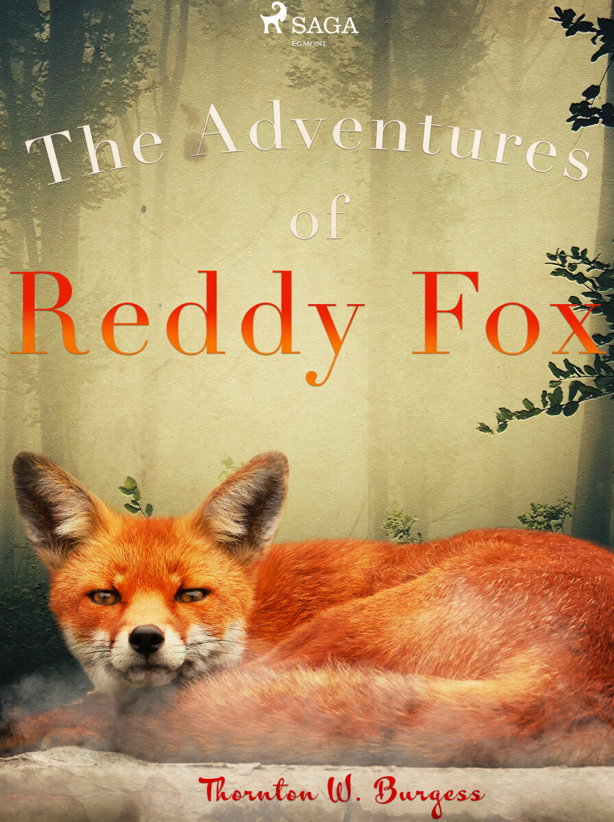 Levně The Adventures of Reddy Fox - Thornton W. Burgess
