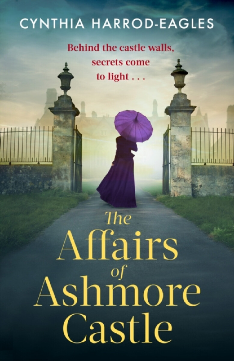 Kniha Affairs of Ashmore Castle