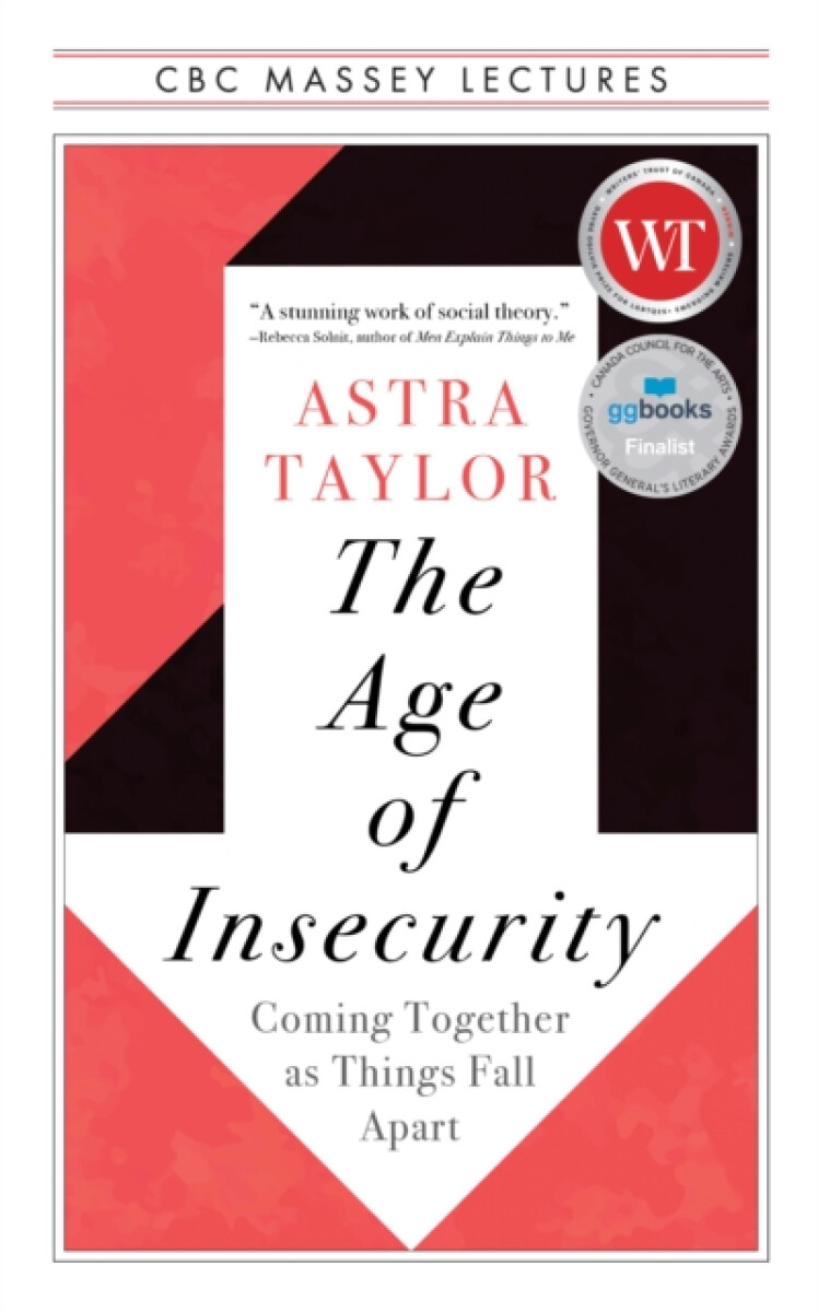 Kniha Age of Insecurity