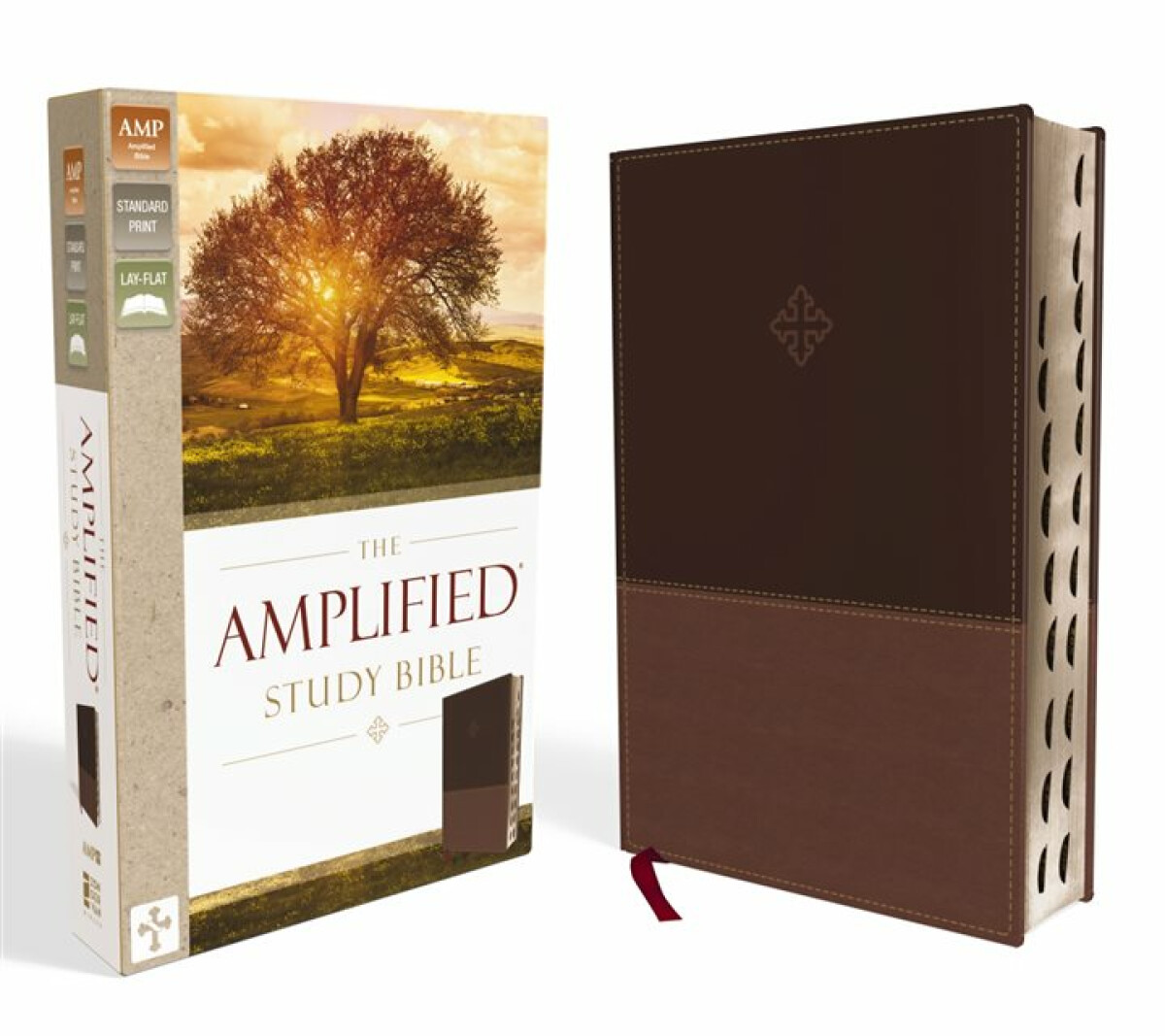 Kniha The Amplified Study Bible, Leathersoft, Brown, Thumb Indexed