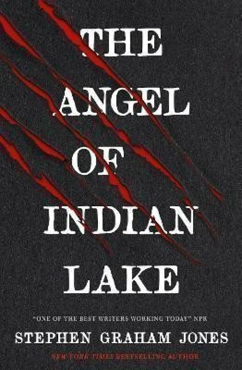 Kniha Angel of Indian Lake