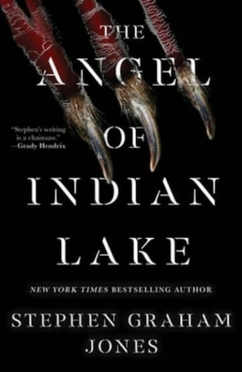 Kniha Angel of Indian Lake
