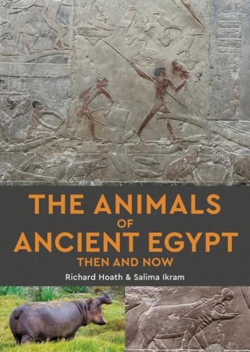 Kniha Animals of Ancient Egypt Then and Now