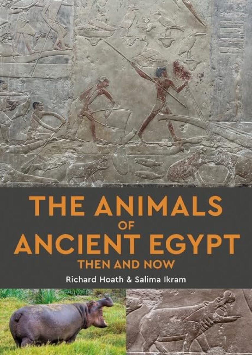 Kniha Animals of Ancient Egypt Then and Now