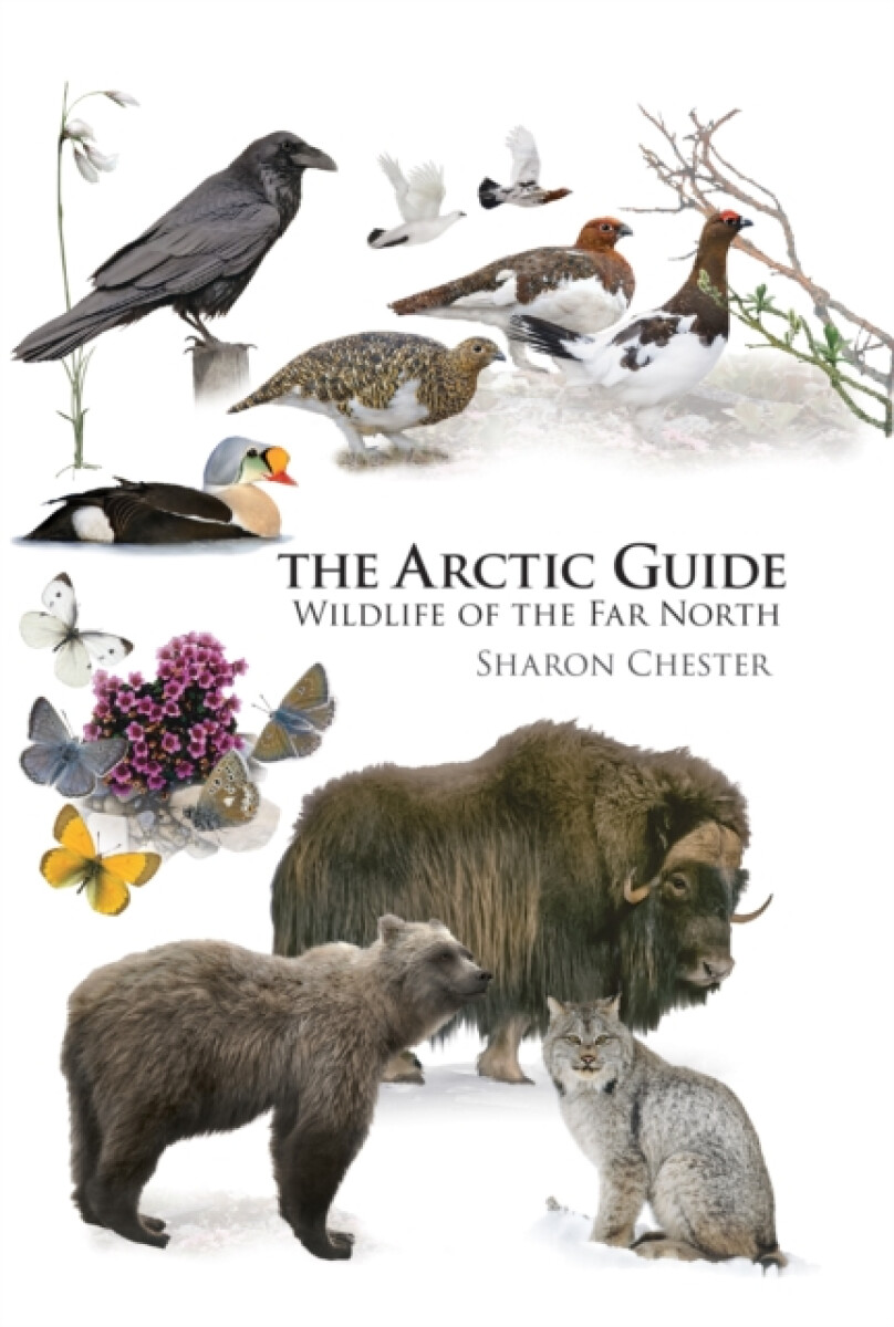 Kniha Arctic Guide