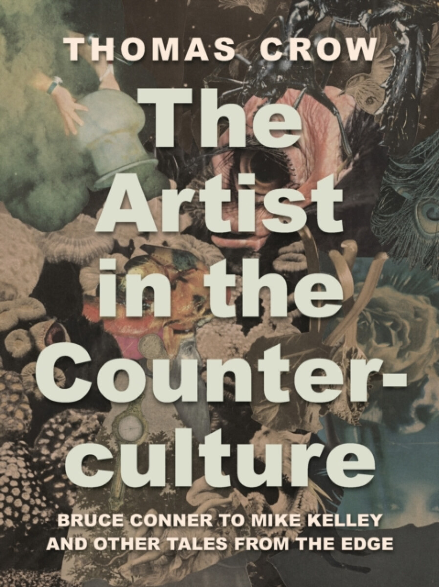 Kniha Artist in the Counterculture