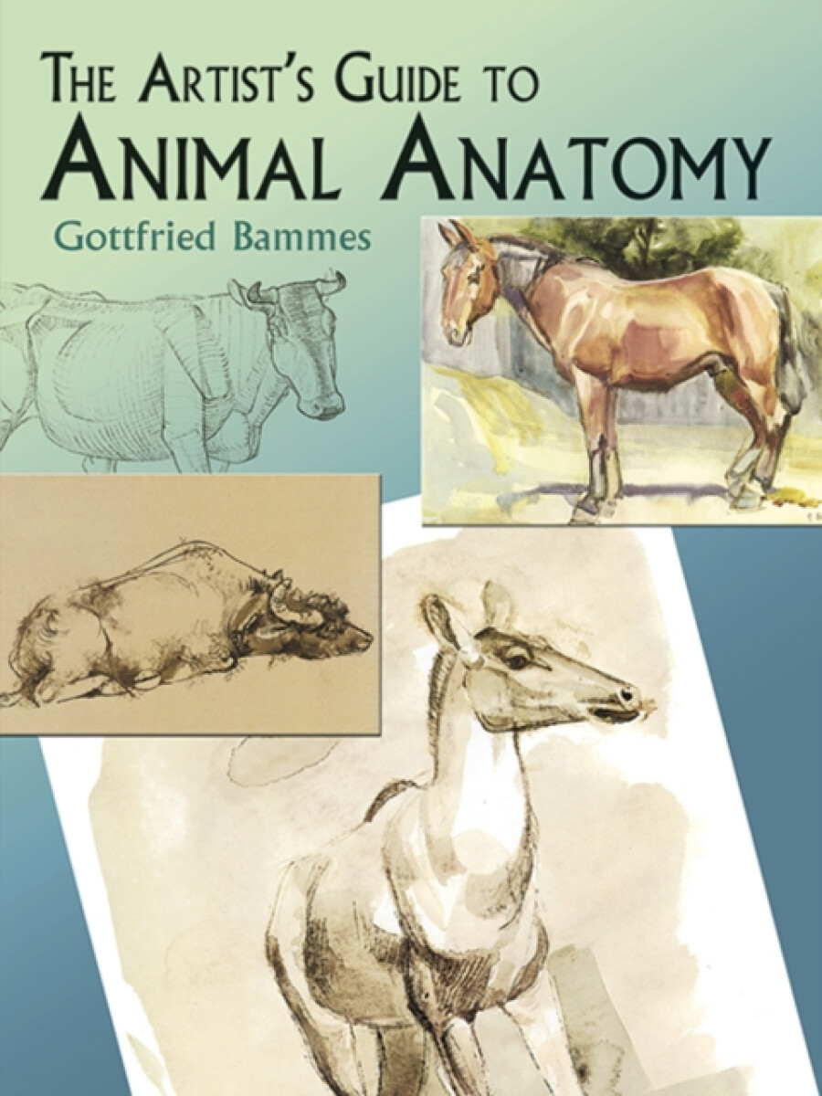 Kniha The Artist's Guide to Animal Anatomy