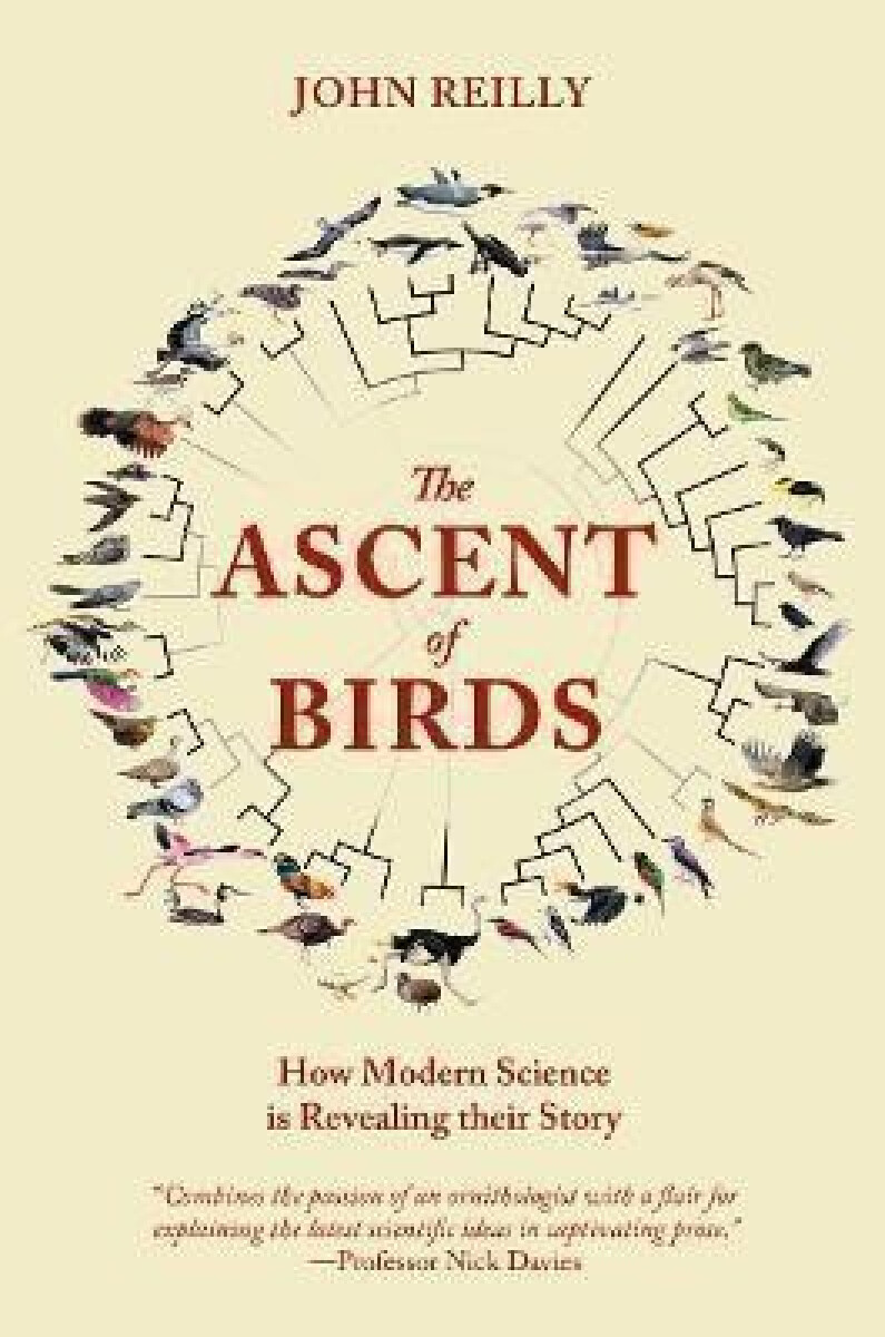 Kniha Ascent of Birds