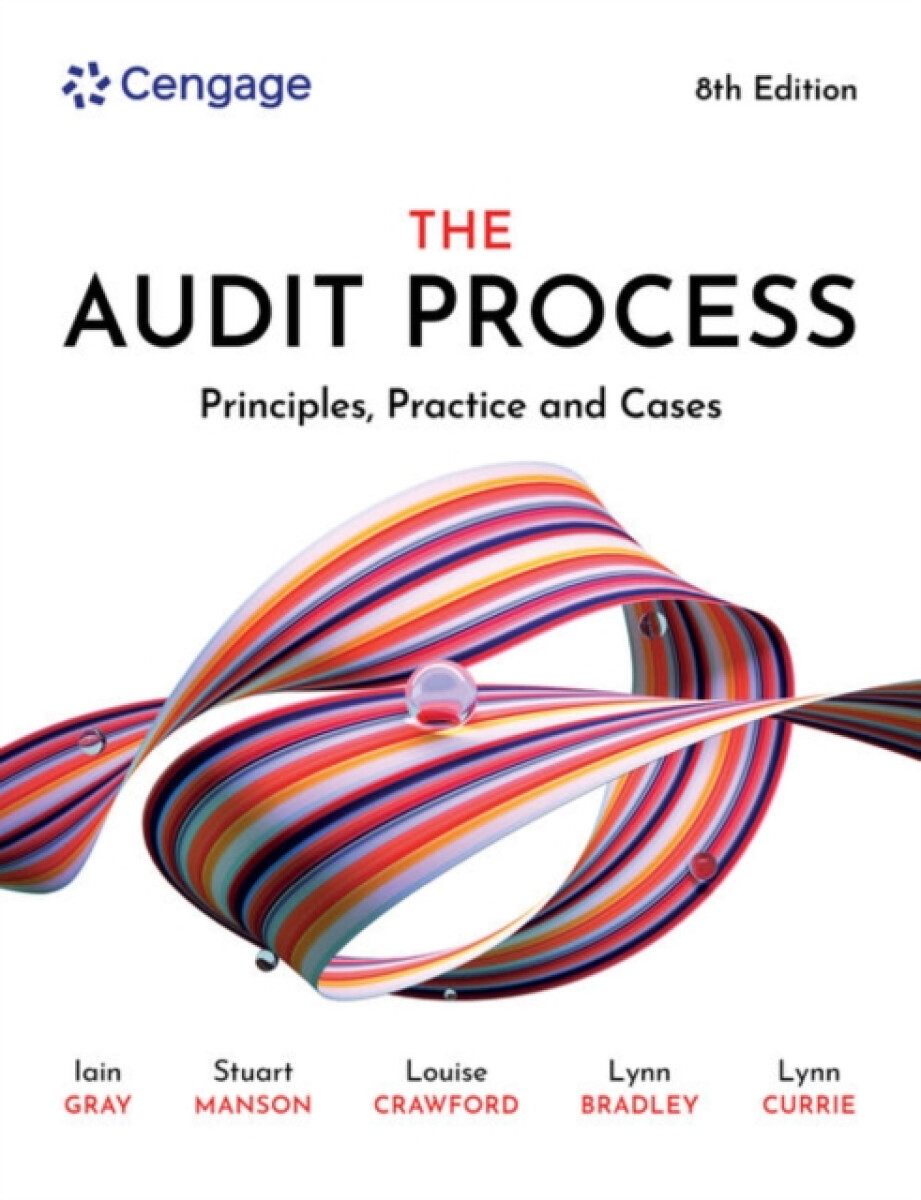 Kniha Audit Process