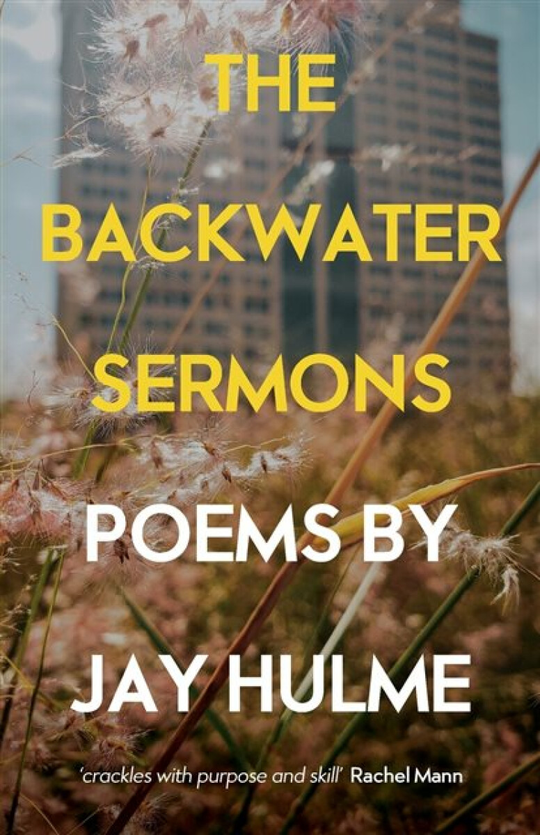 Kniha Backwater Sermons