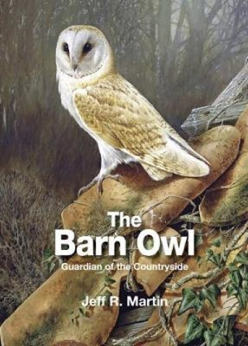 Kniha Barn Owl