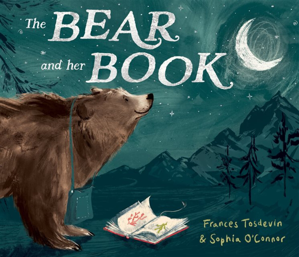 Kniha Bear and Her Book