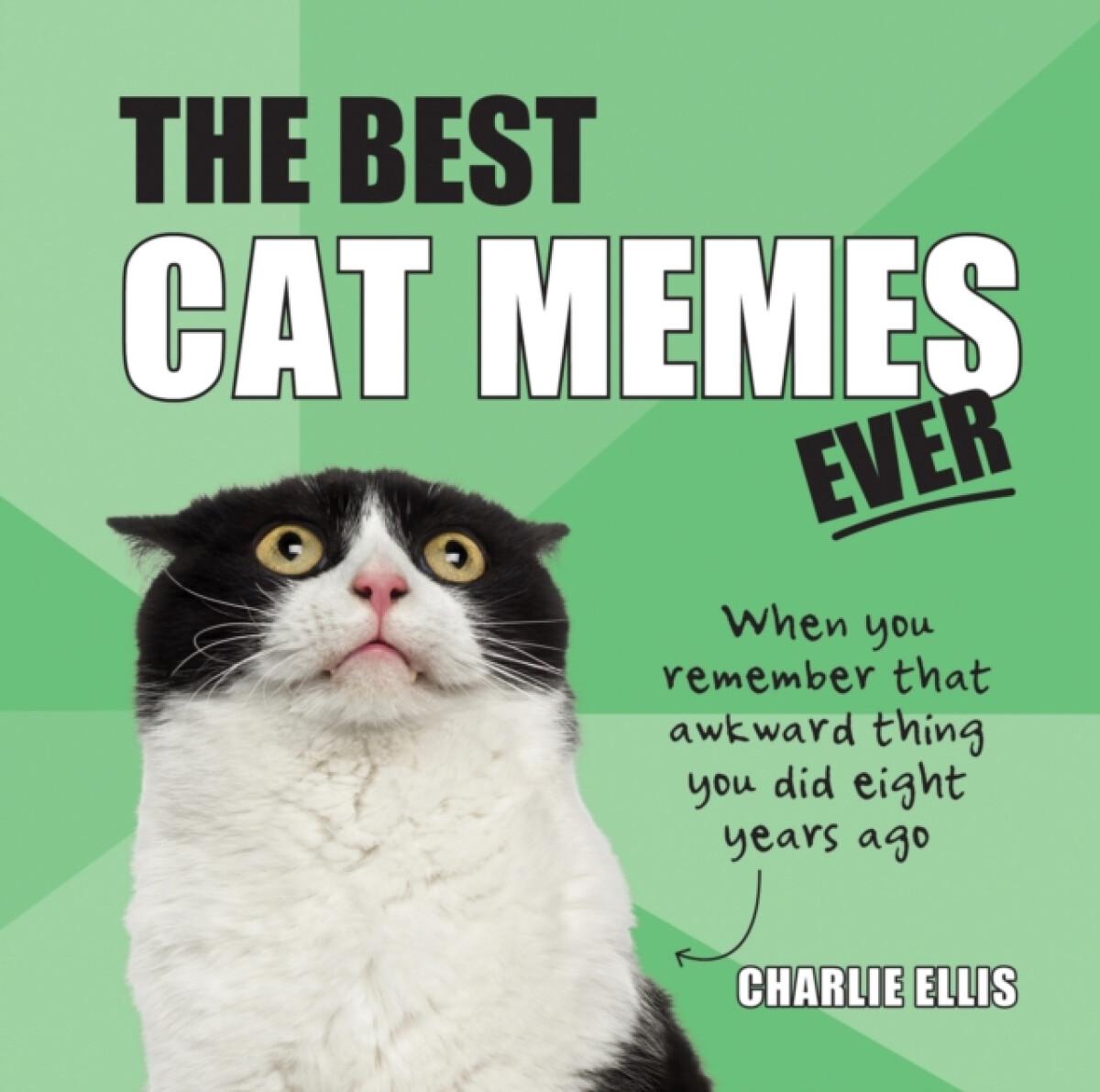 Kniha Best Cat Memes Ever